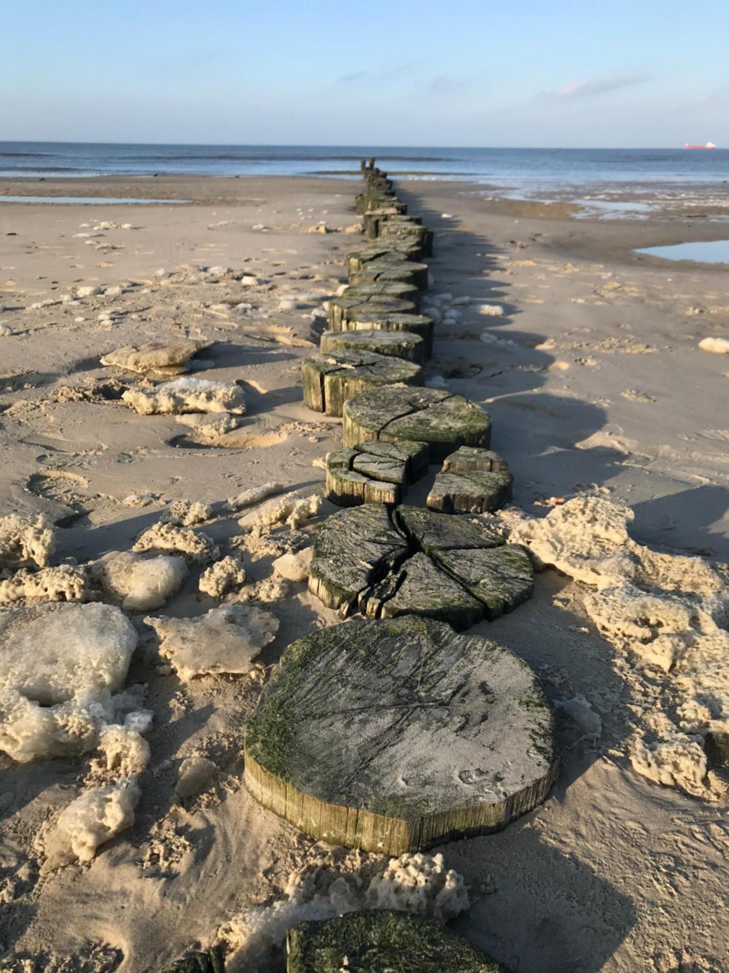 Eschen'S Allee Aurich Exteriör bild