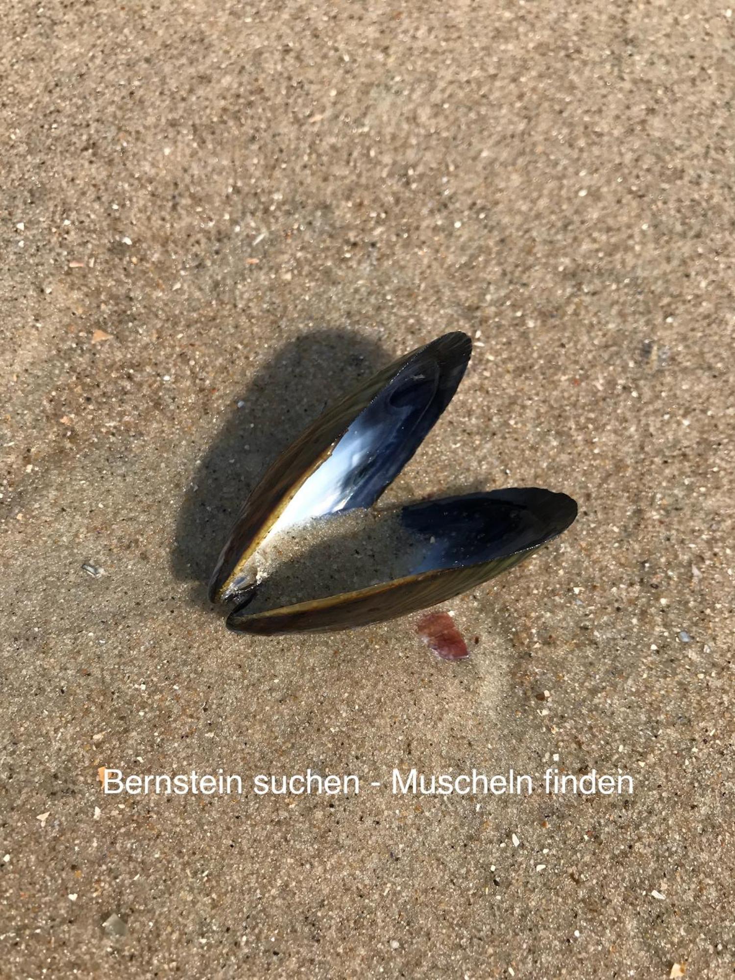 Eschen'S Allee Aurich Exteriör bild